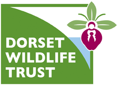 Dorset Wildlife Trust - Protecting Wildlife for the Future